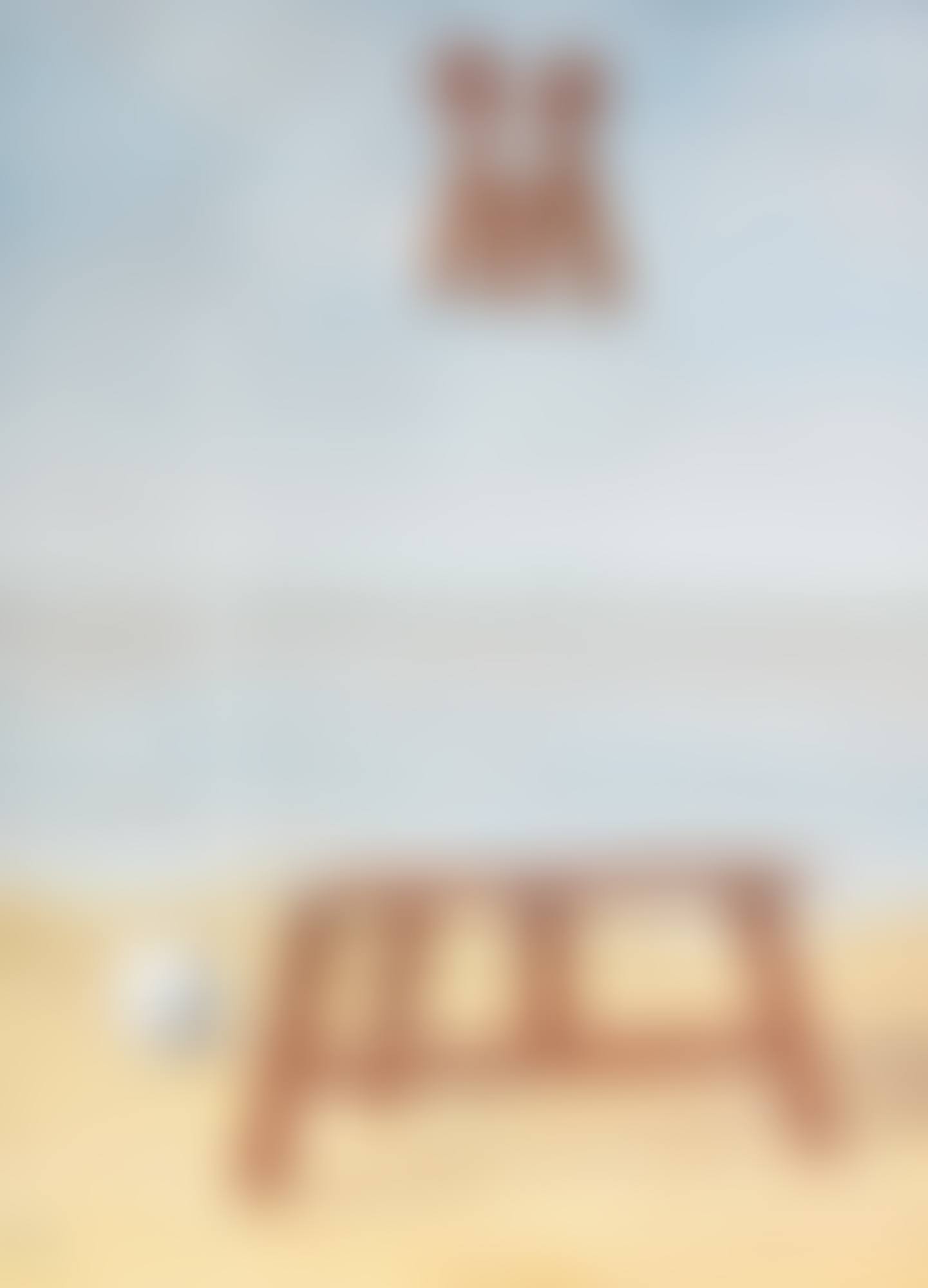 LA BELLE CAPTIVE (preview)