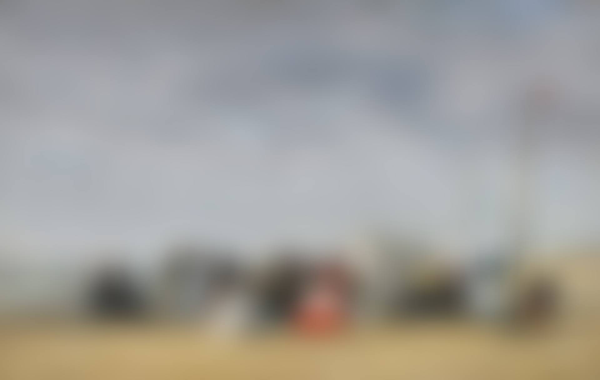 CRINOLINES SUR LA PLAGE (preview)