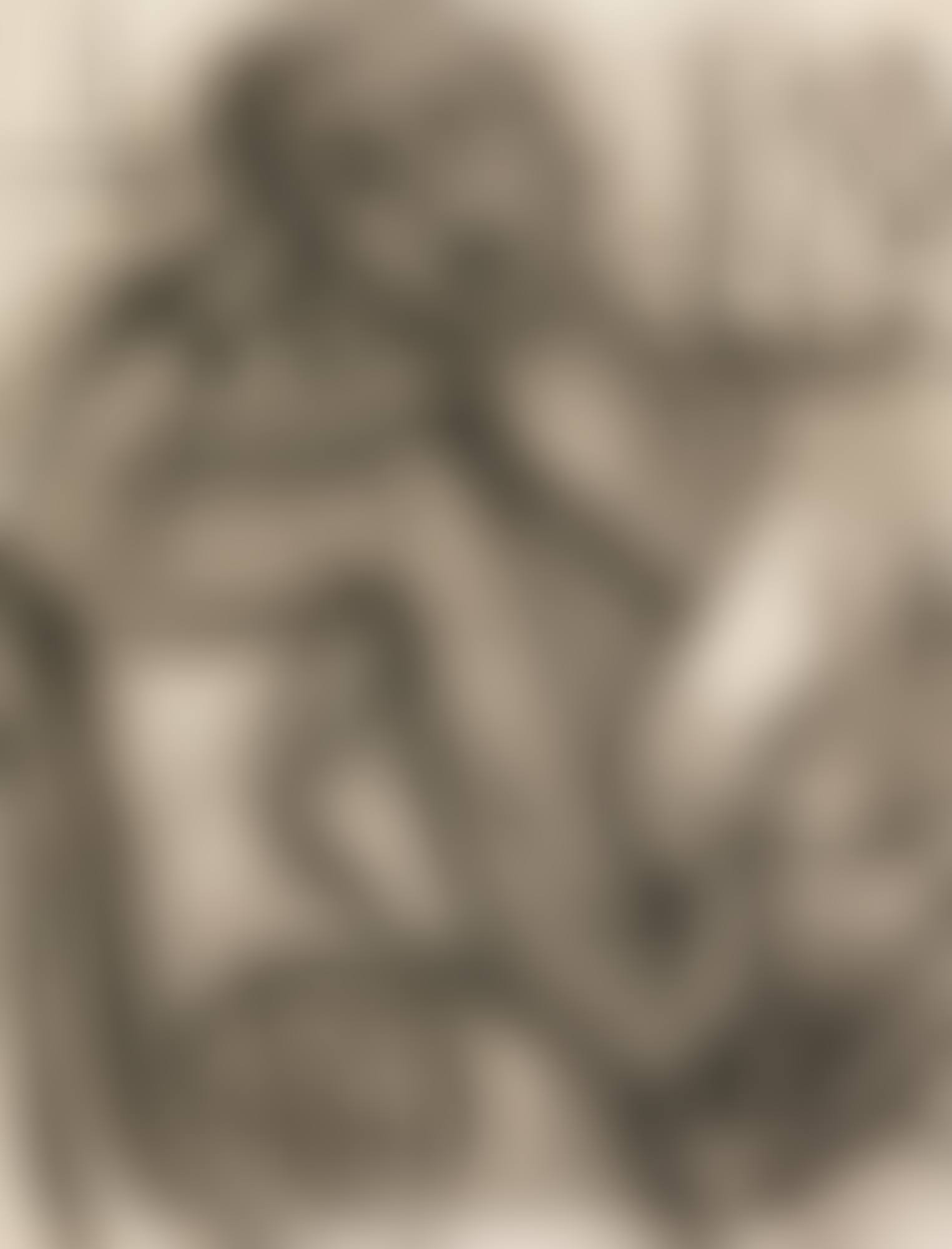 PORTRAIT OF MRS HUTCHINSON (preview)