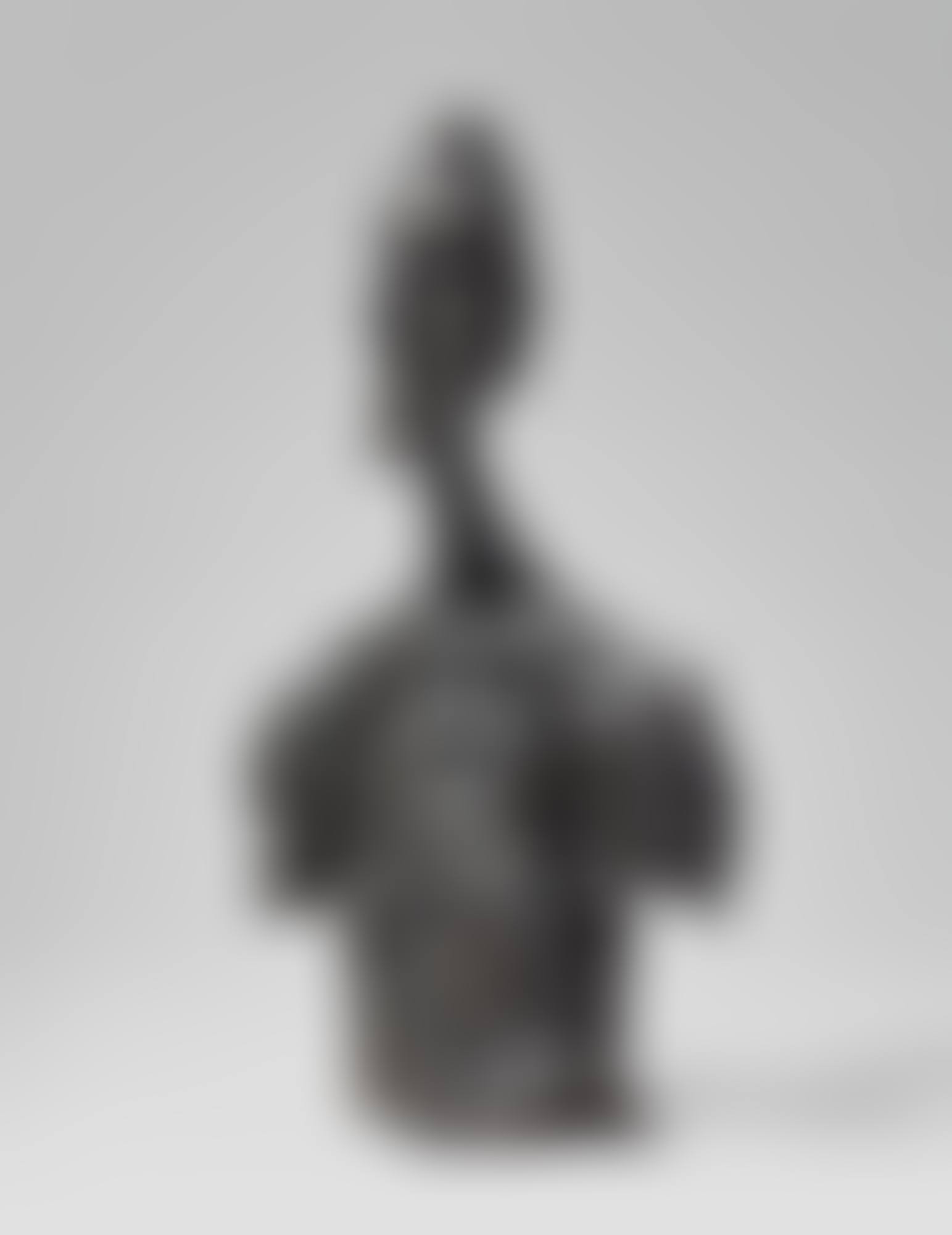BUSTE DE DIEGO (preview)