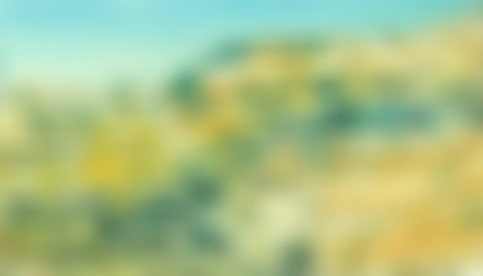 ARIZONA (preview)