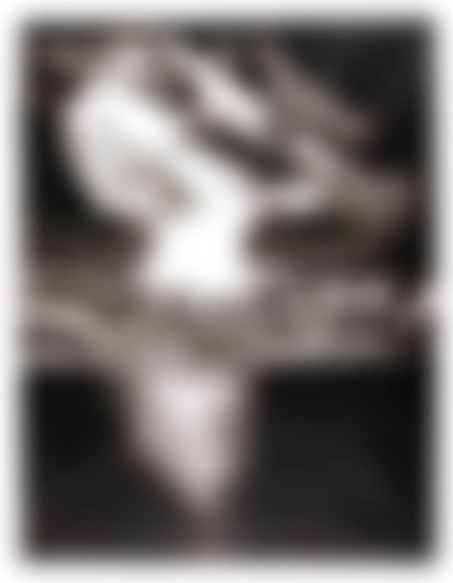 UNTITLED (preview)