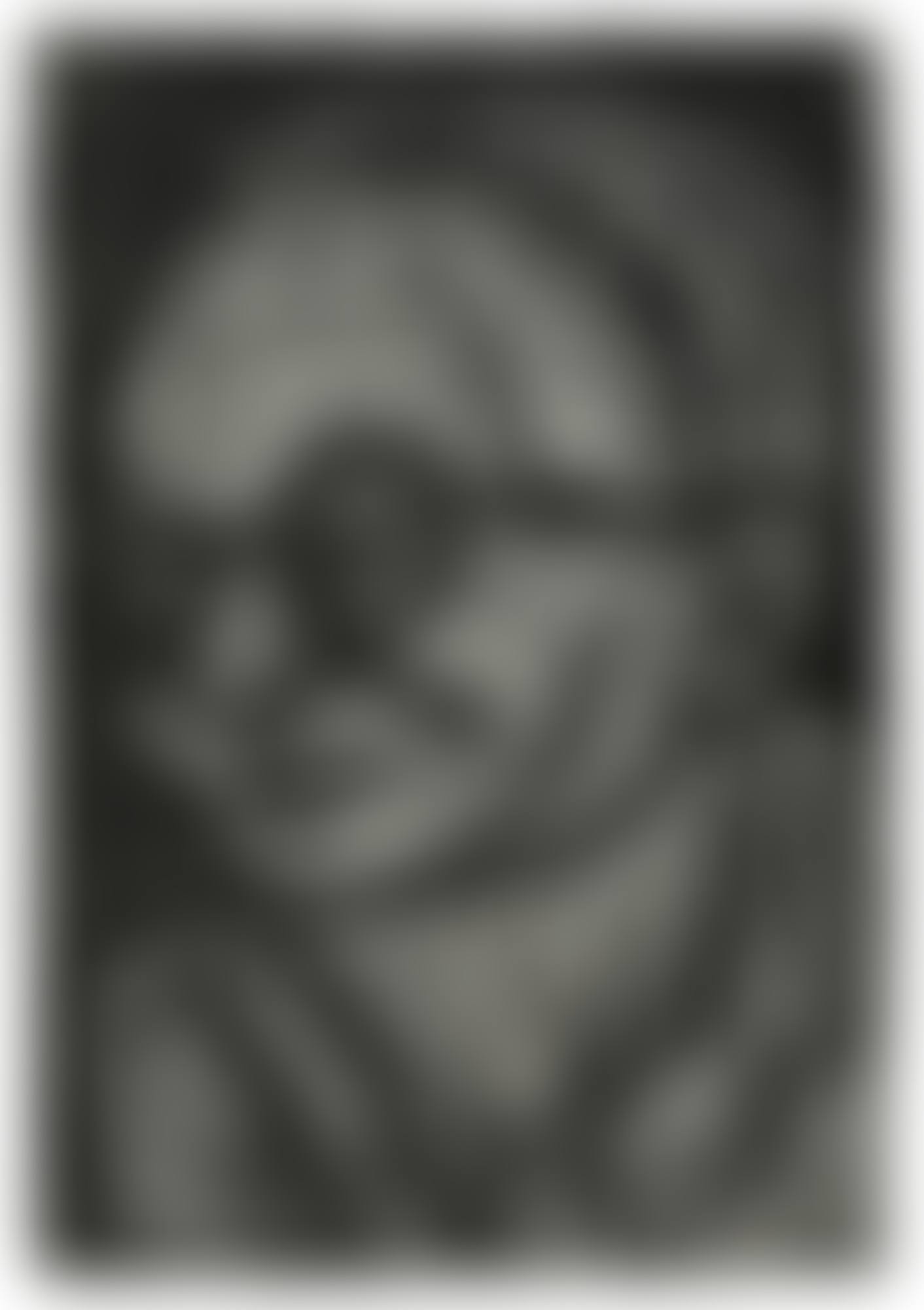 HEAD OF CHAIM (preview)