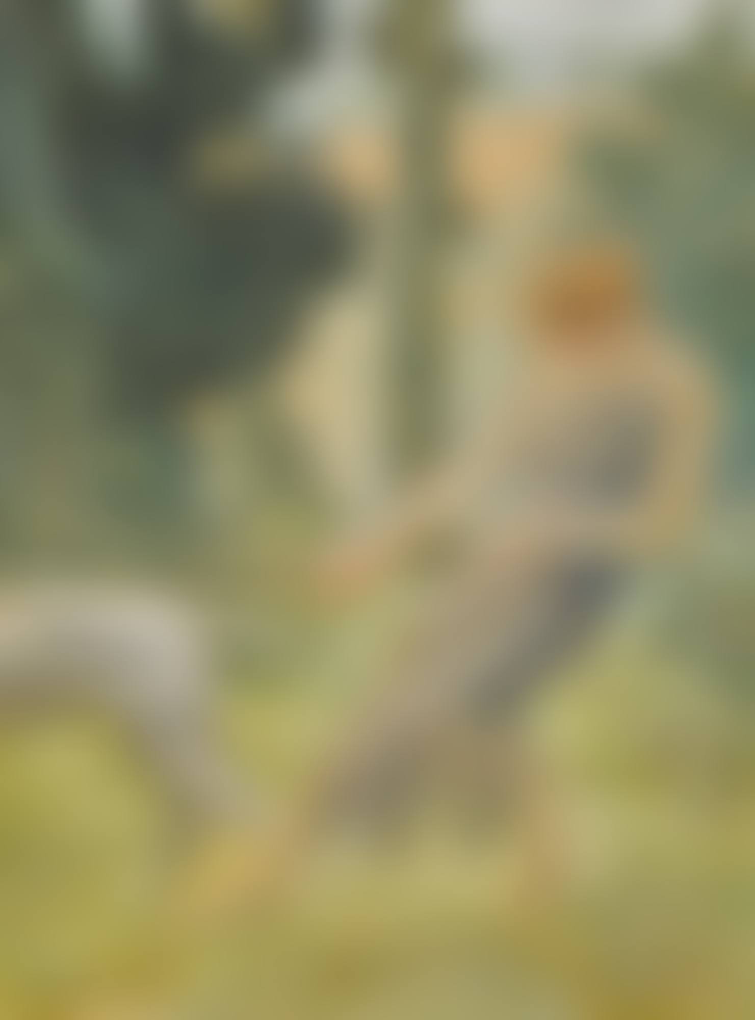 THE TRANSFORMATION OF CALLISTO (preview)