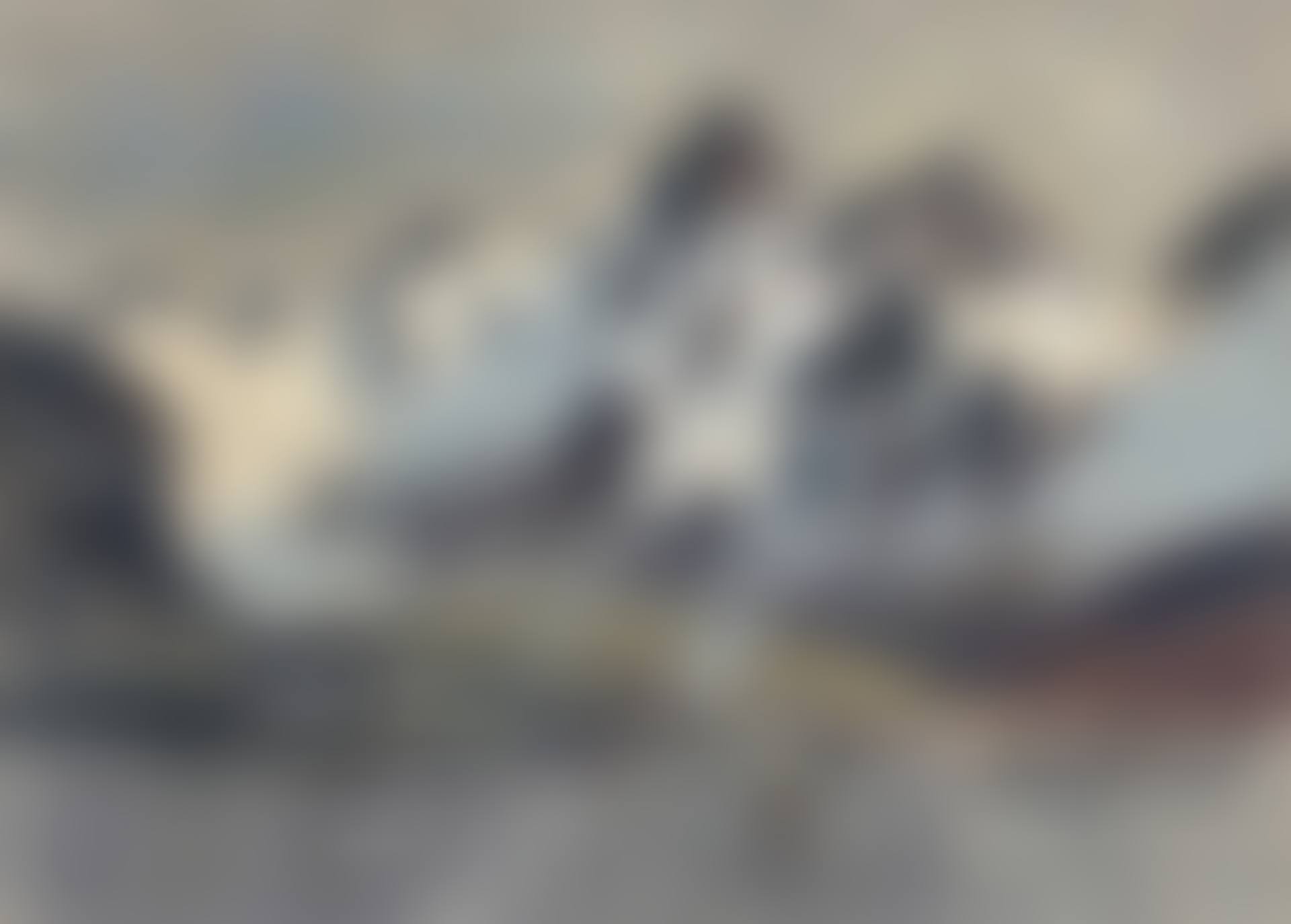 The Whaling Station, Leith Harbour, South Georgia (preview)