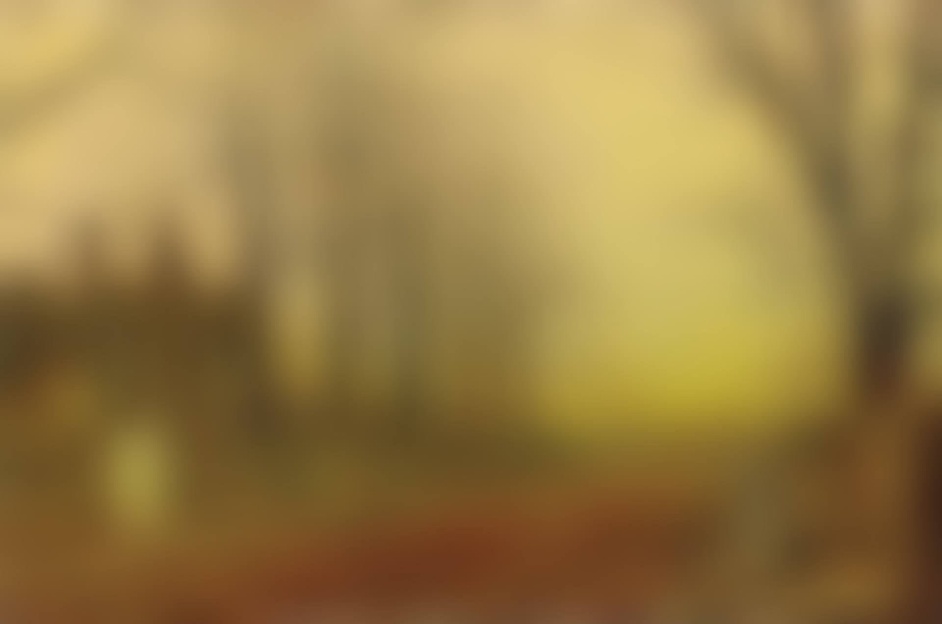 Autumn Glory (preview)