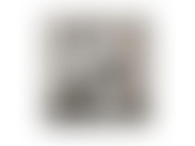 Artist's Choice Portfolio (preview)