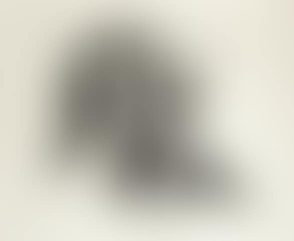 Selbstbildnis (preview)