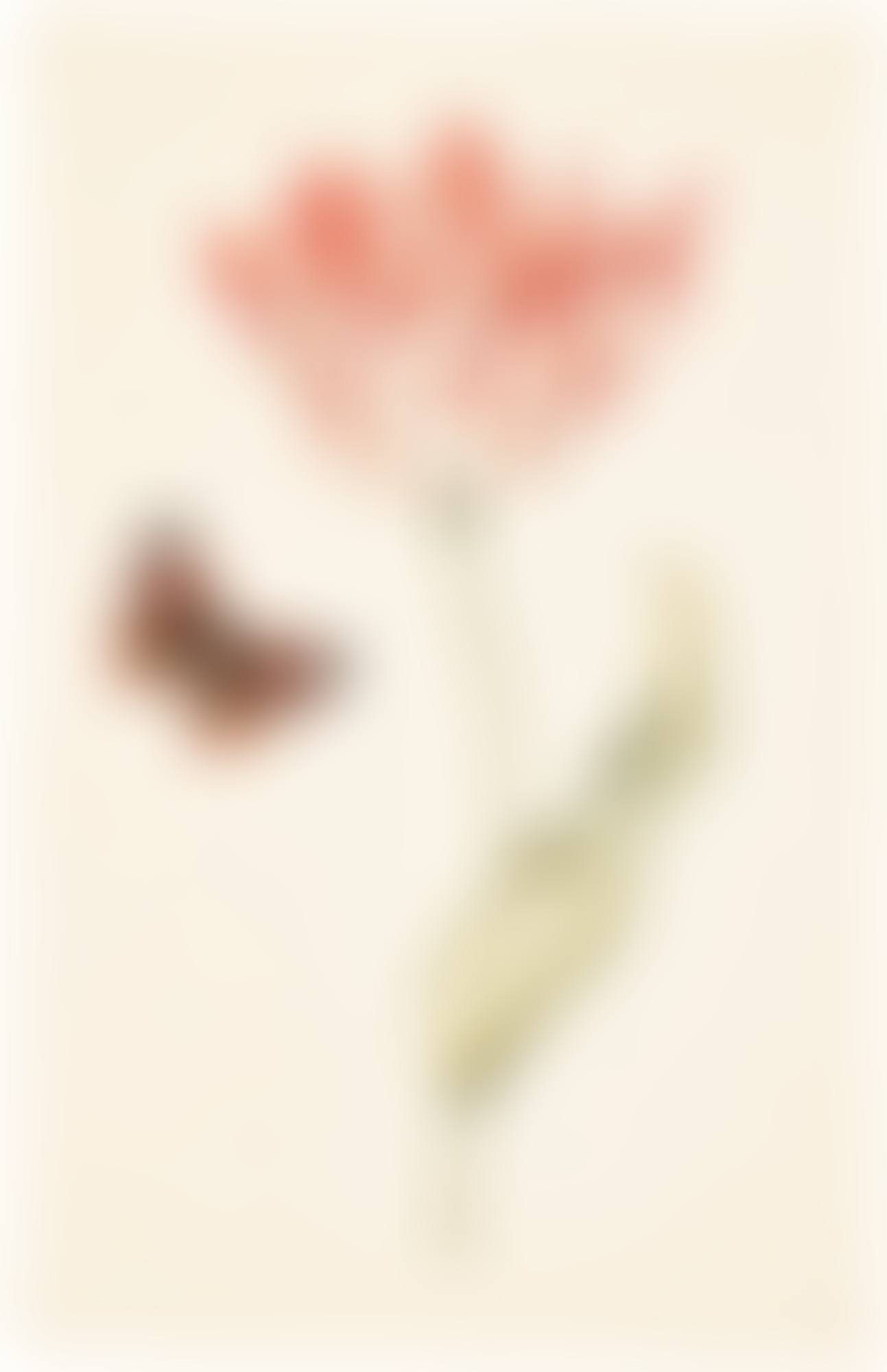 TWO TULIPS WITH BUTTERFLIES (preview)