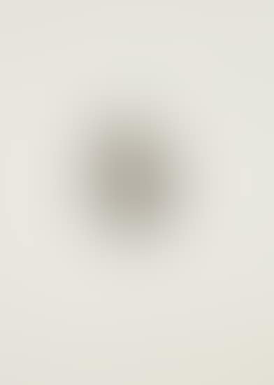 Untitled (Maggot), from Anatomy portfolio (preview)