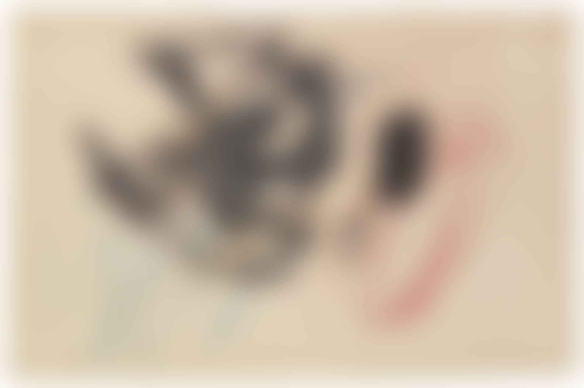 Sans titre (preview)