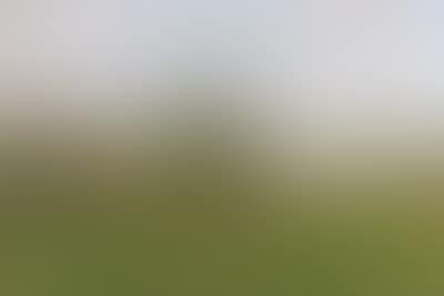 Open Summer Landscape (preview)