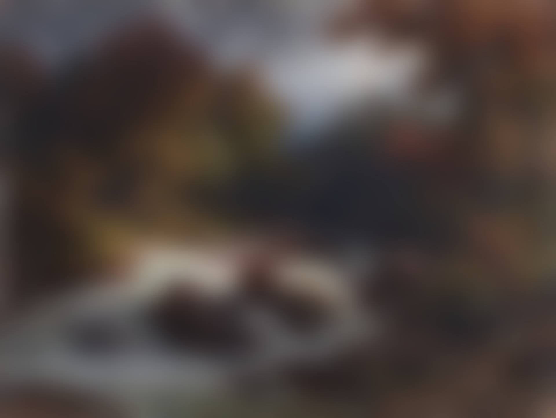 Gebirgsbach (preview)