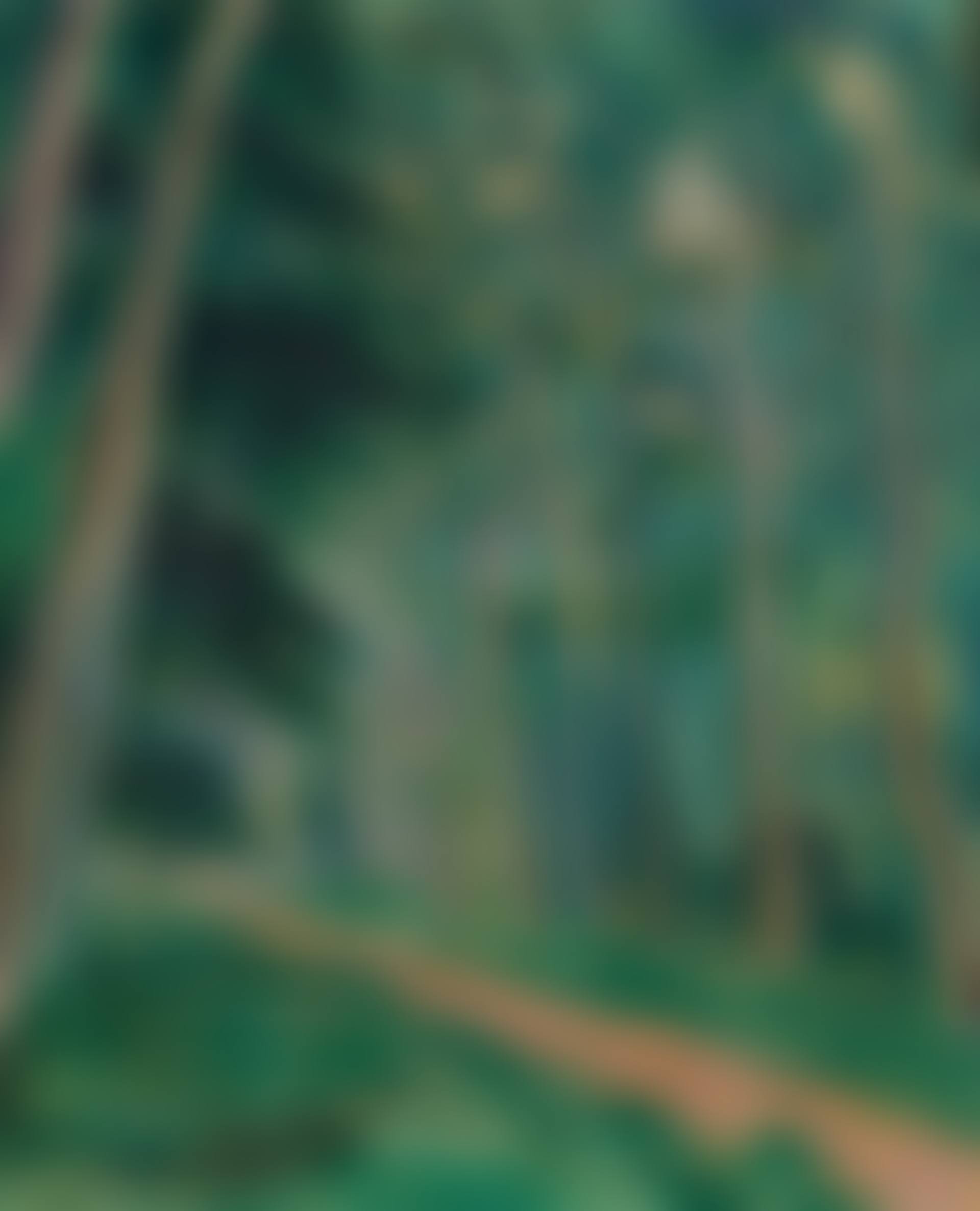 Chemin forestier (preview)