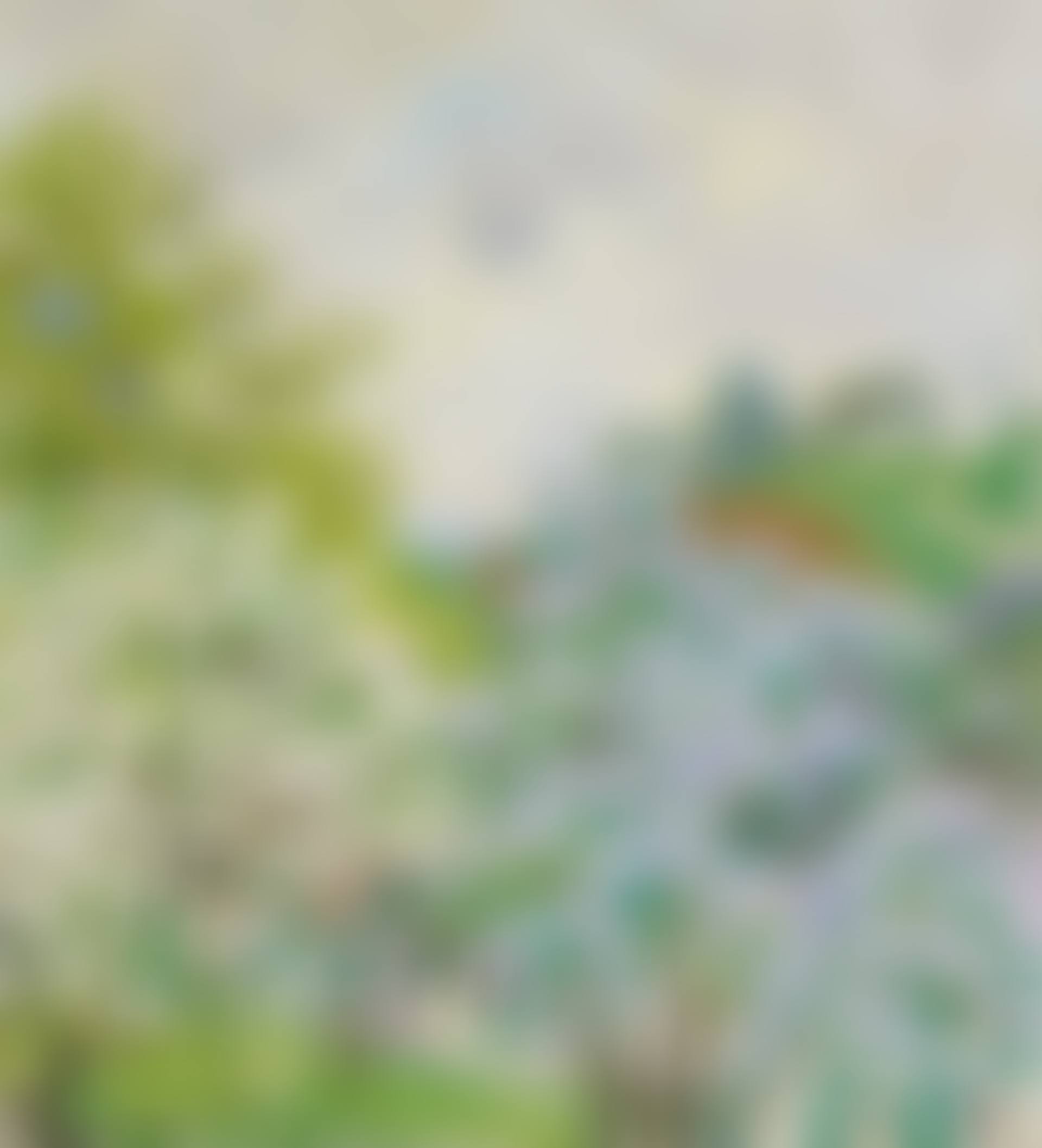 Paesaggio primavera Stampa (preview)