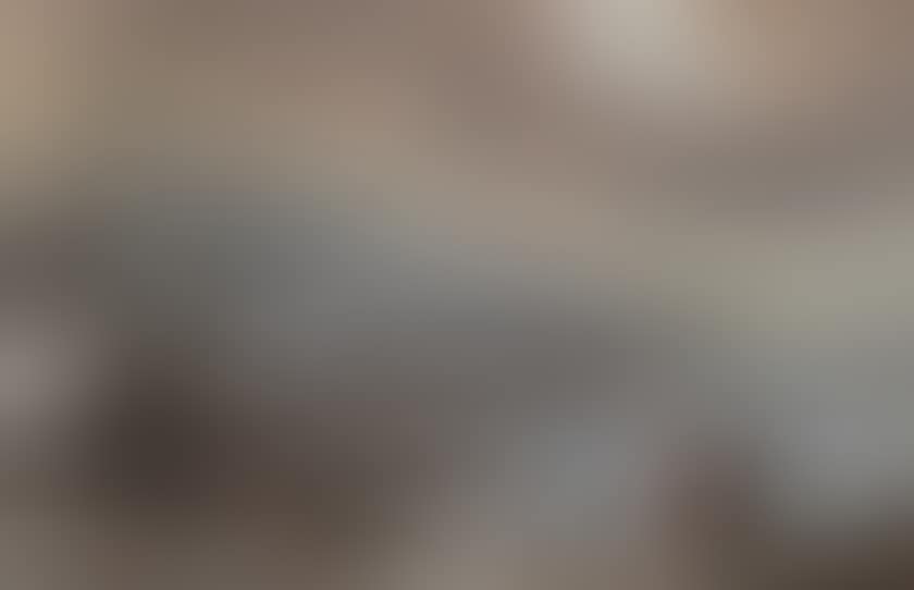 Winter landscape animated by skaters (preview)