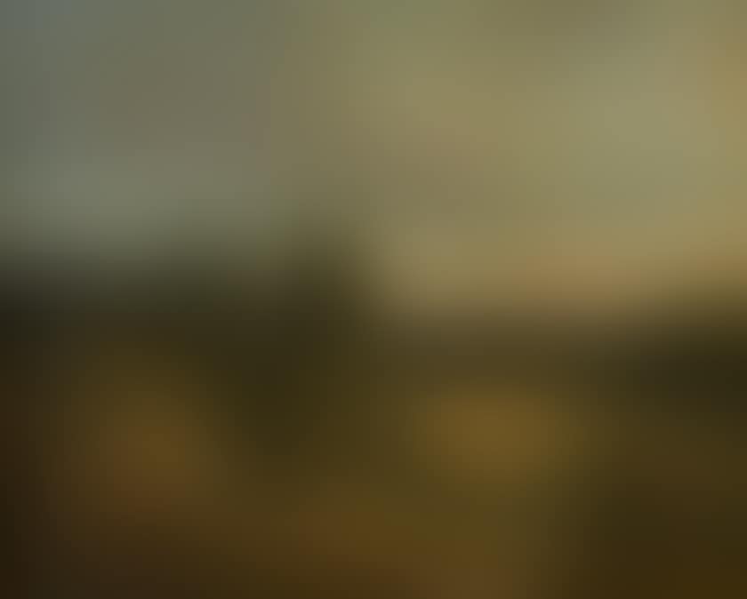 Light effect on a wooded meadow (preview)