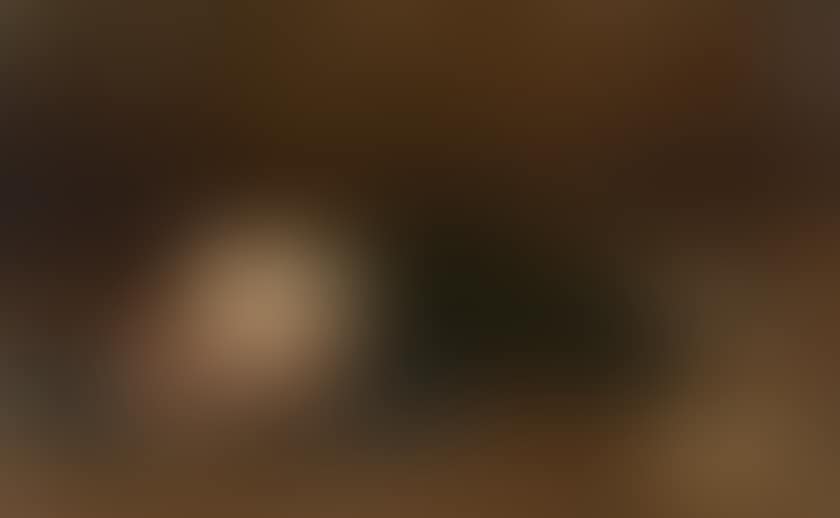 The beautiful captive (preview)