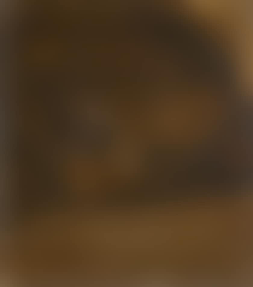 Stable interior (preview)