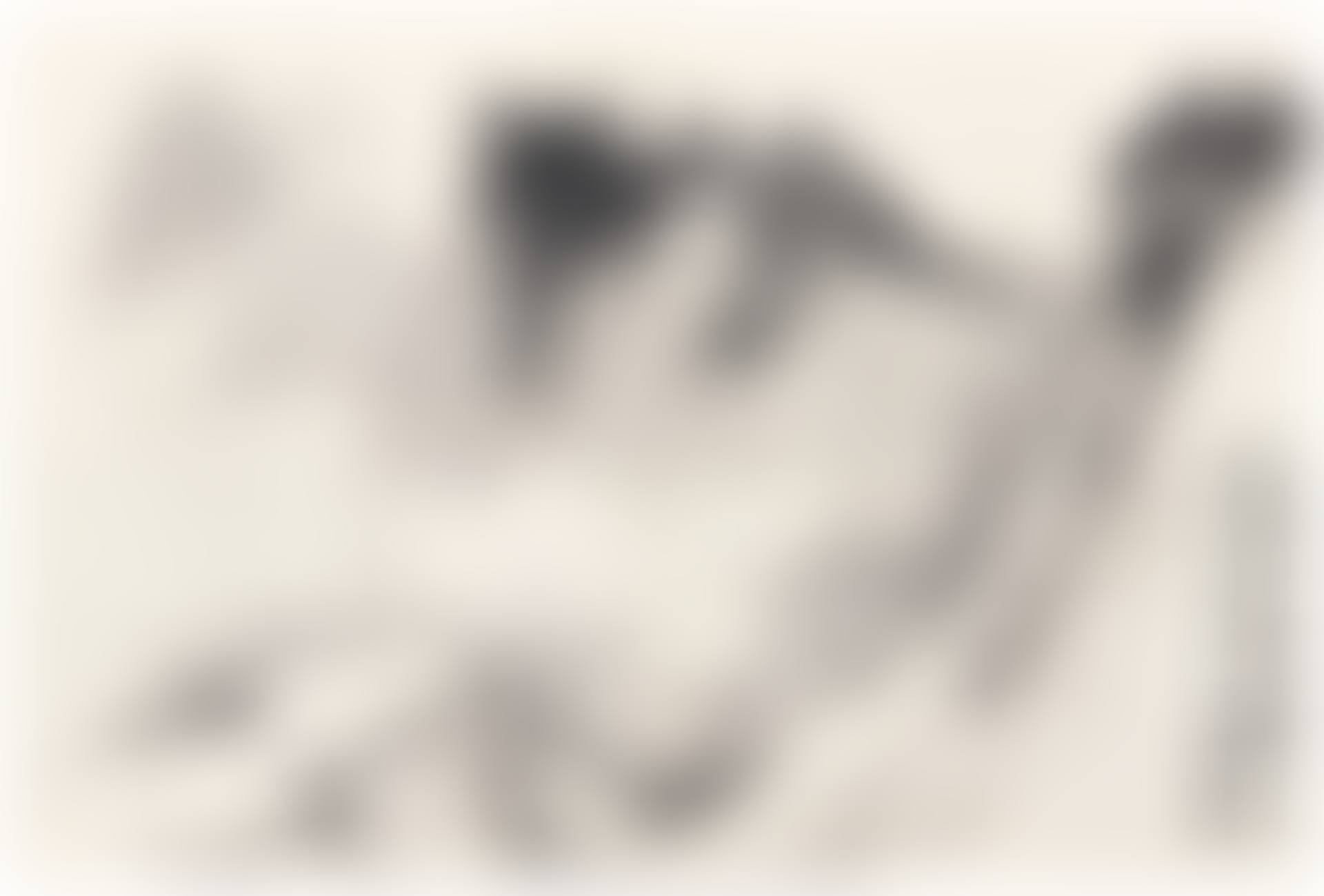 Landscapes (preview)