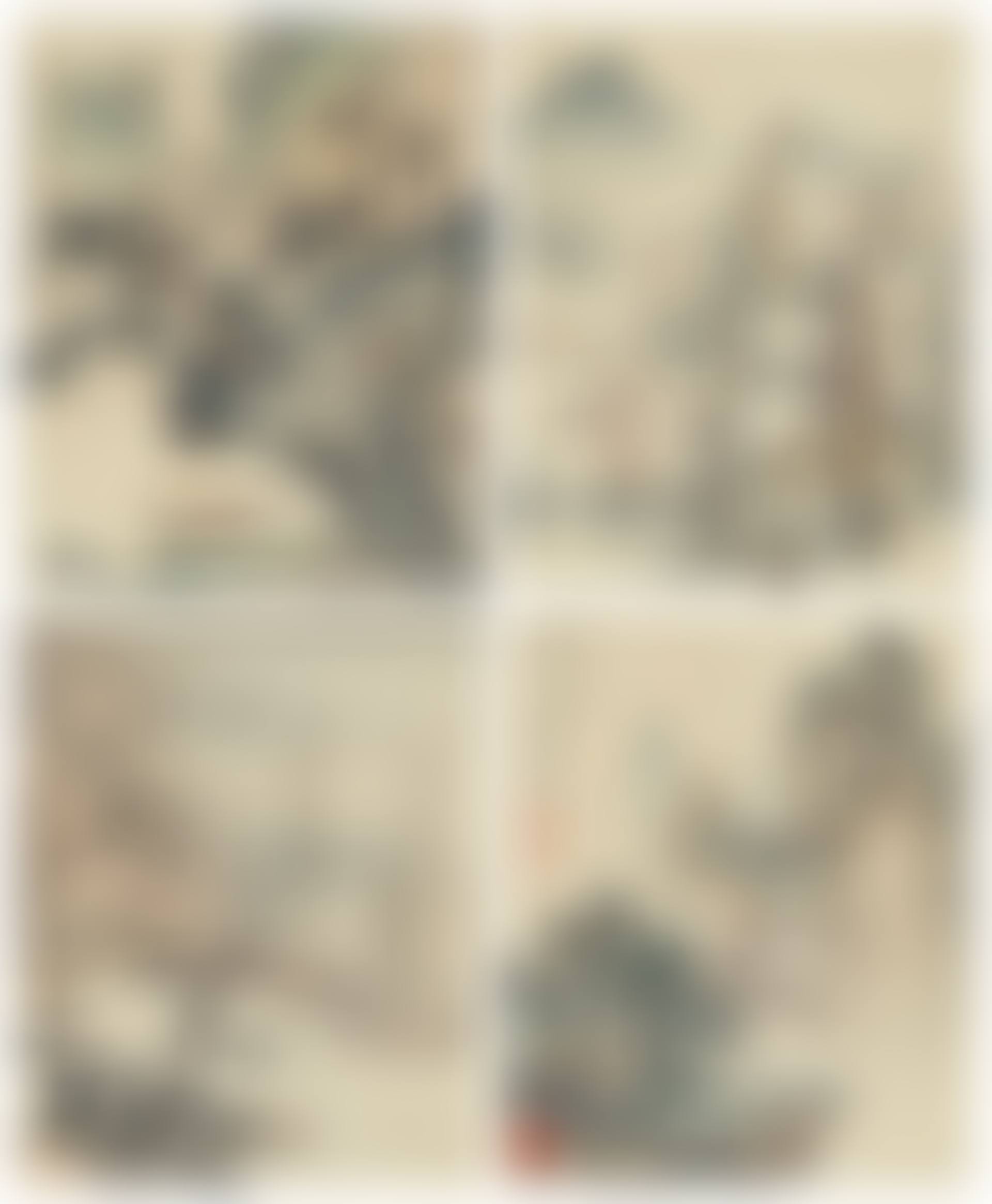Landscapes and Calligraphy (preview)