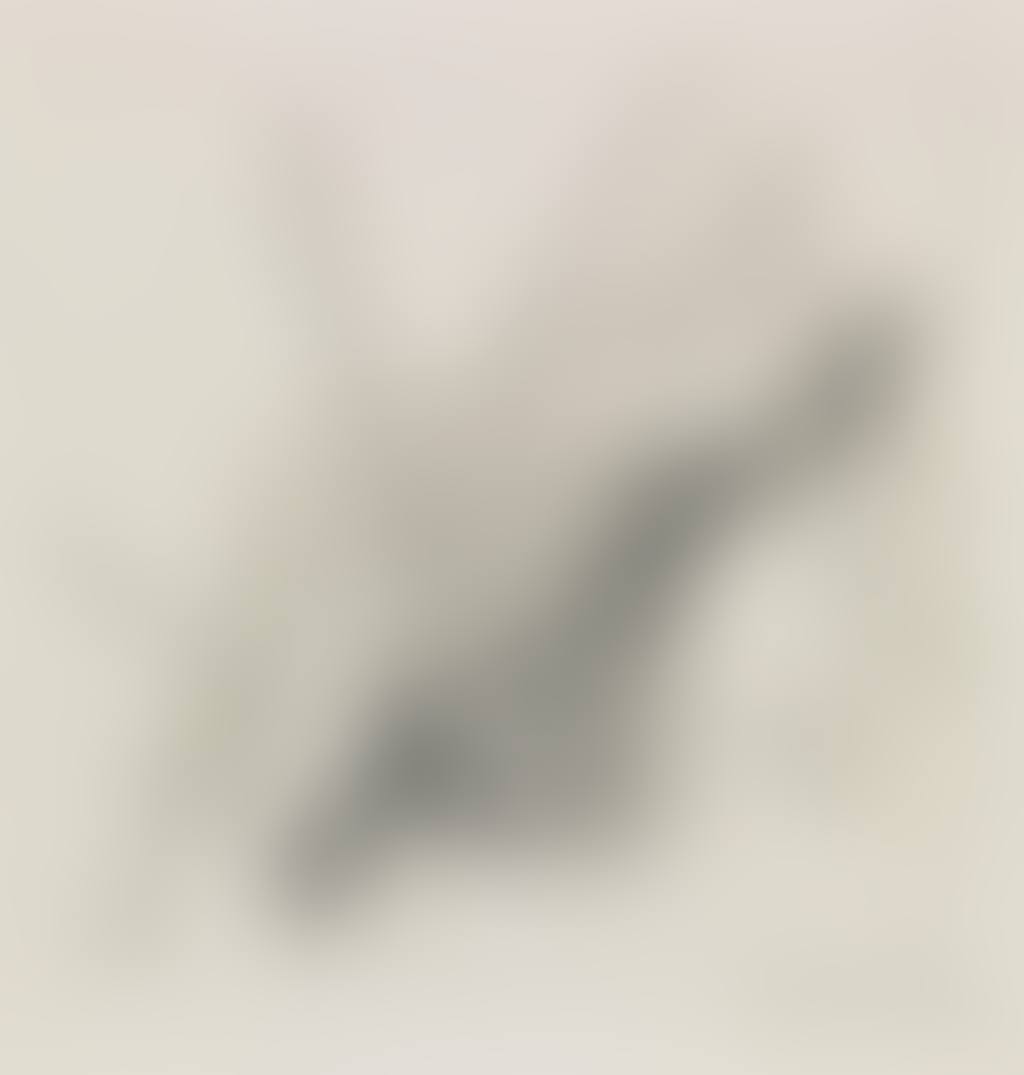 Composition (preview)