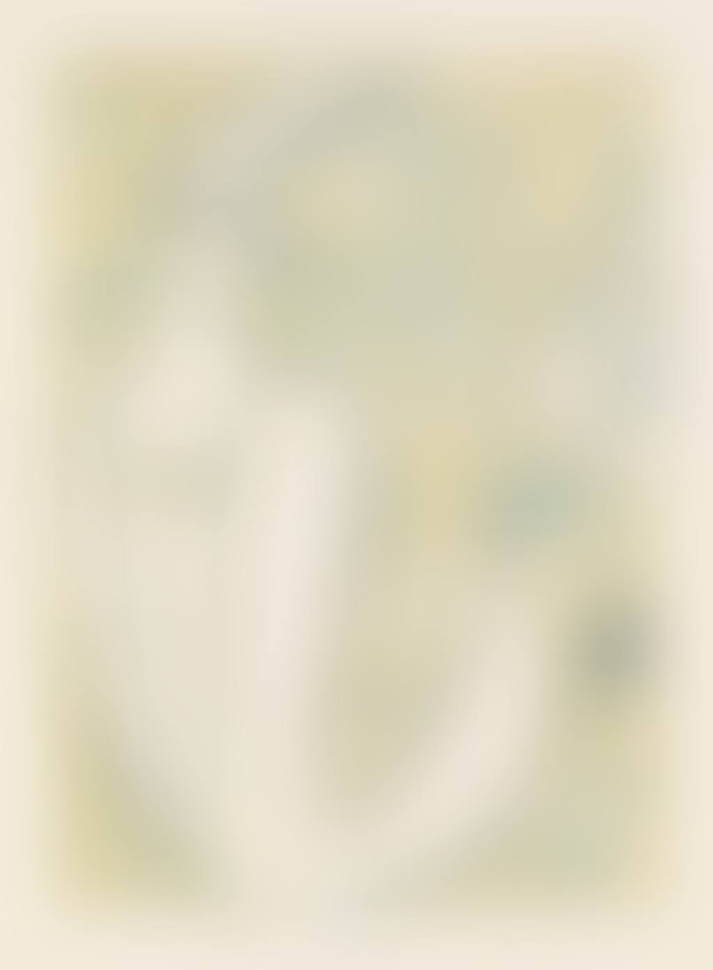 La Saint-Charlemagne (preview)