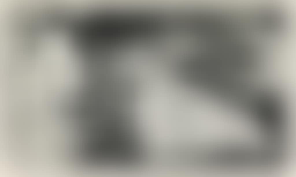 Auti Te Pape (preview)