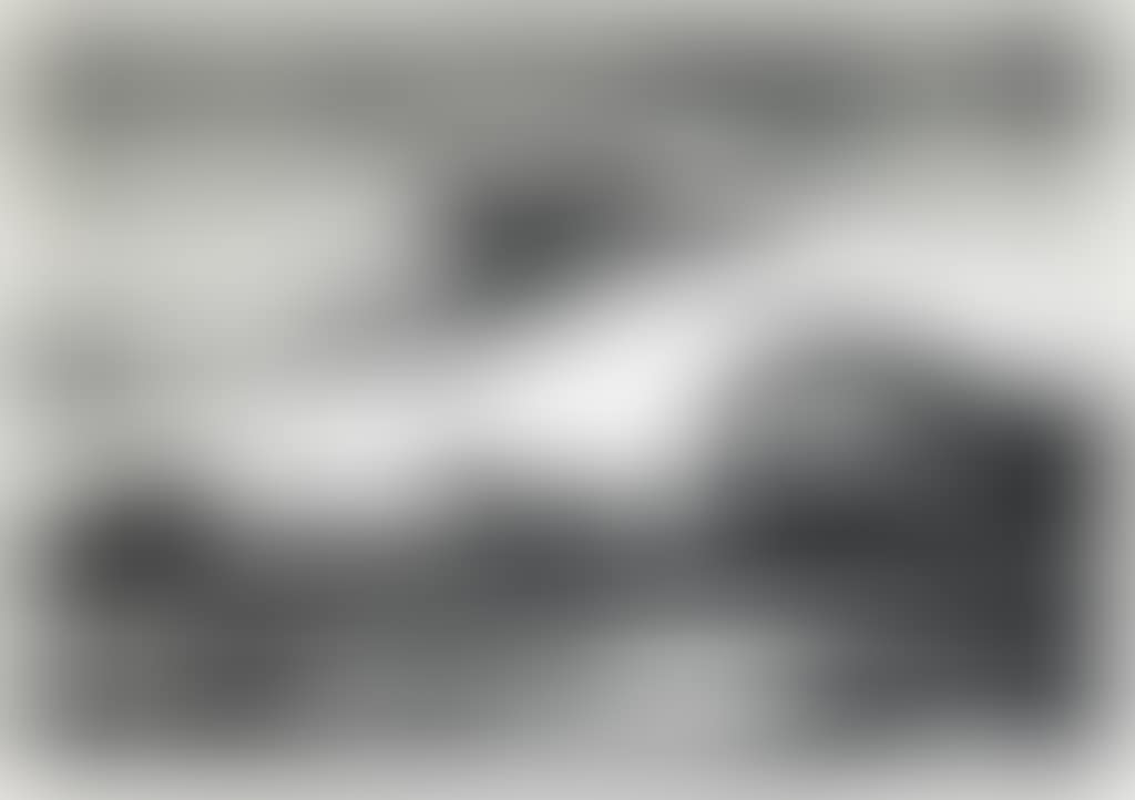 The Race (preview)