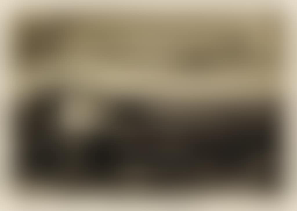 Die Pflüger (preview)