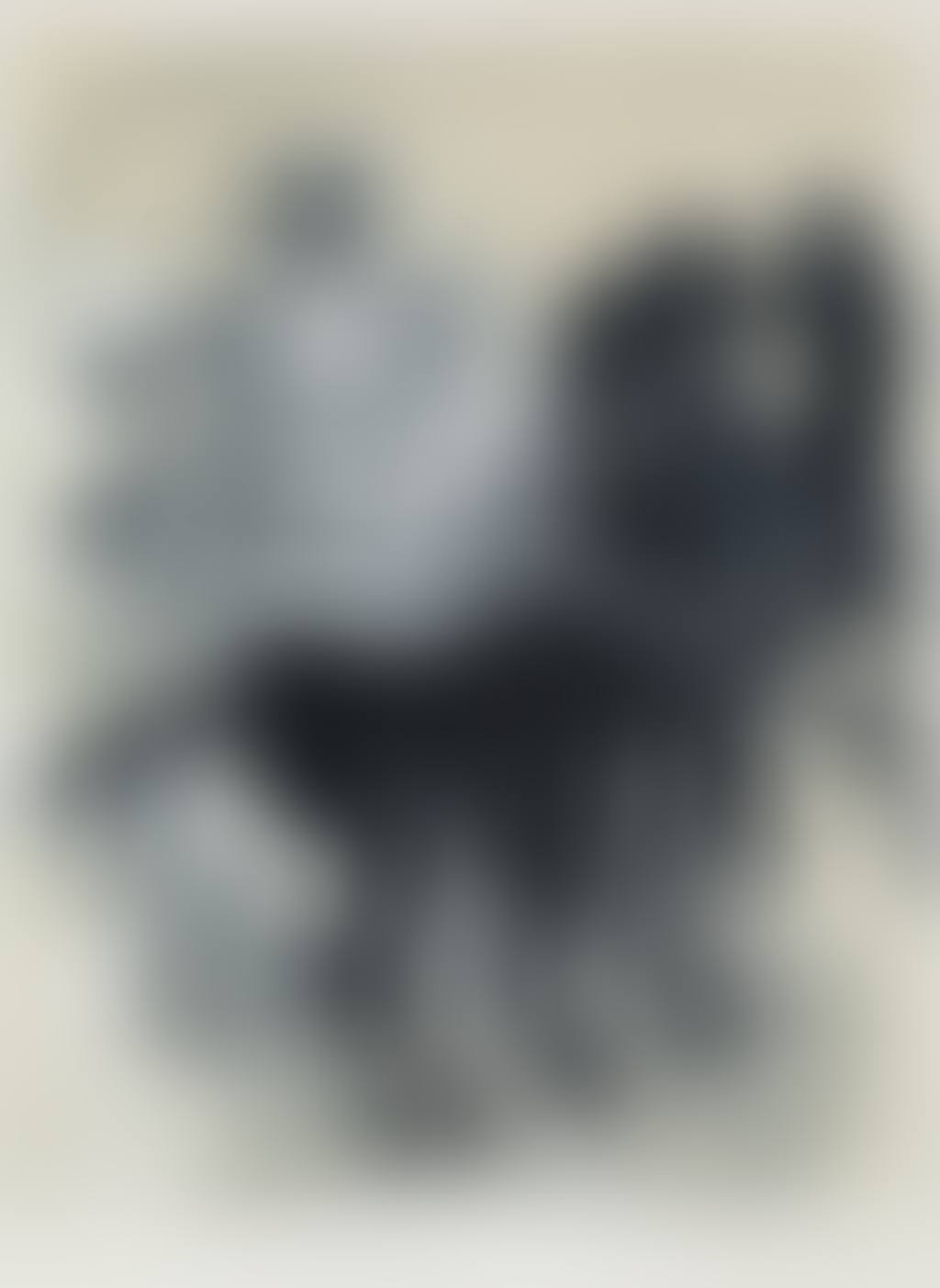 Char Aux Chevaux Noir (preview)