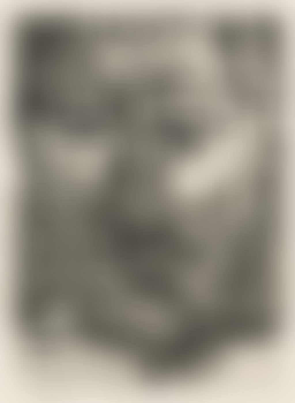 Tête D'homme Barbu, II (preview)