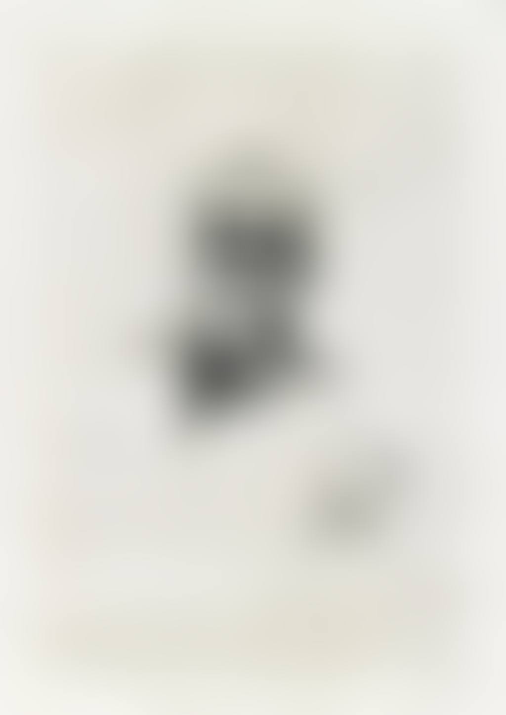Victor Hugo, De Face (preview)