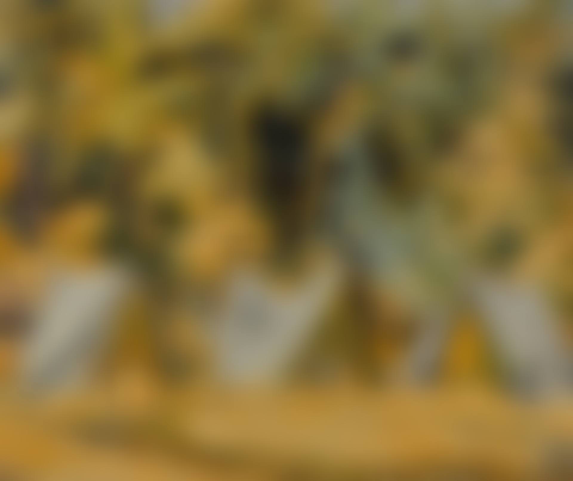 TENTS (preview)