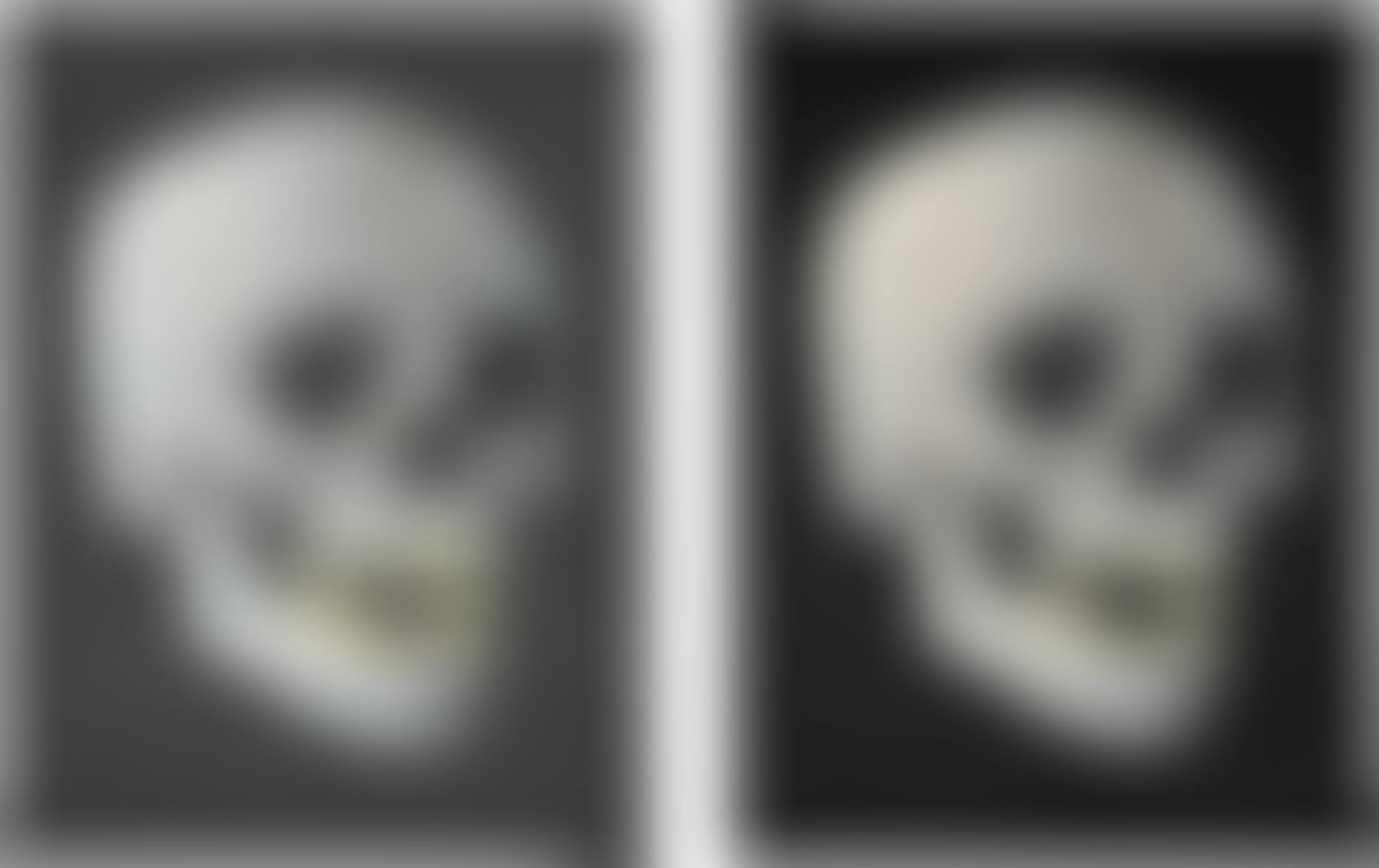 FOR THE LOVE OF GOD, LAUGH; AND FOR THE LOVE OF GOD THE DIAMOND SKULL (TWO WORKS) (preview)