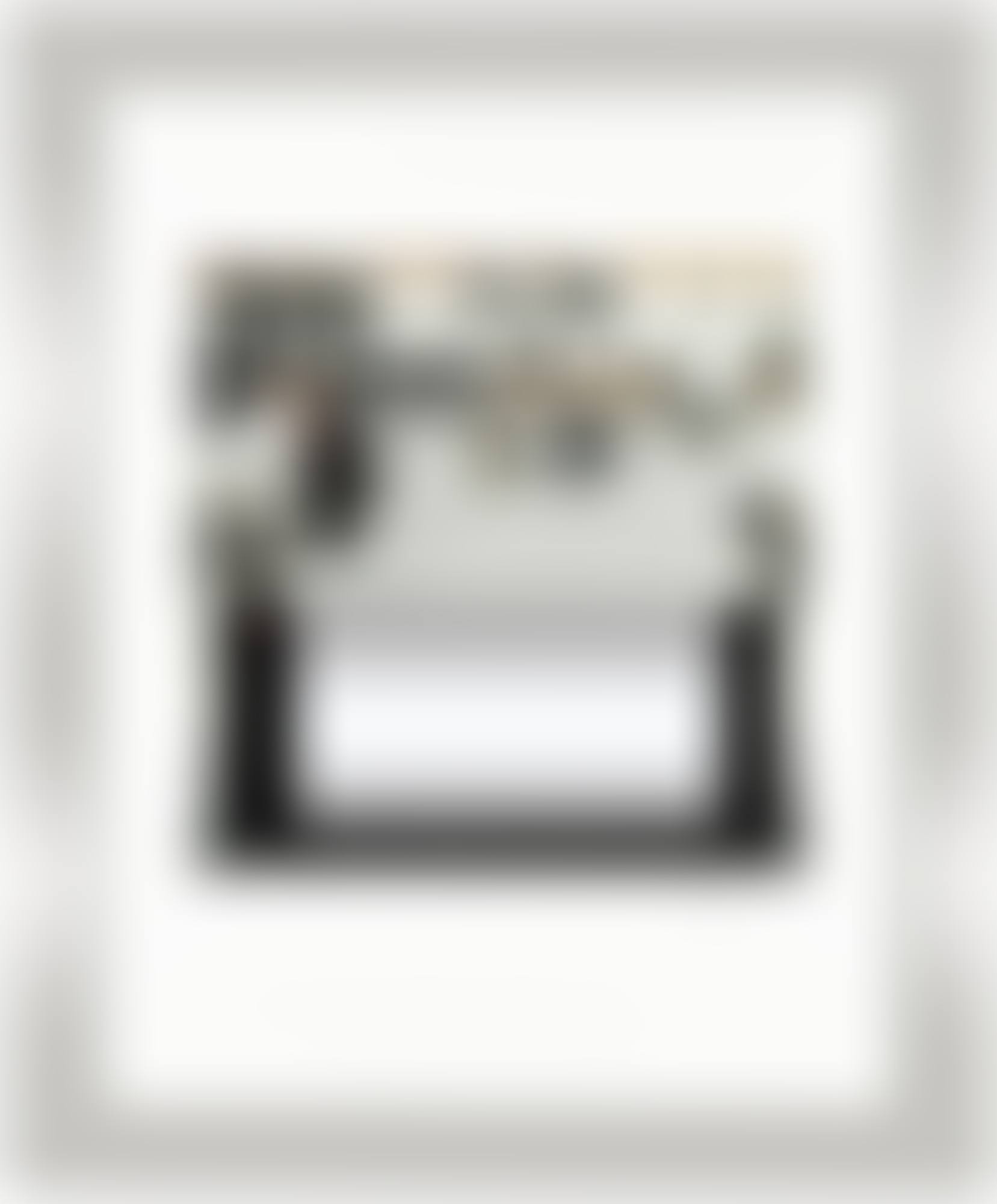 TOASTER DELUXE 8 (preview)