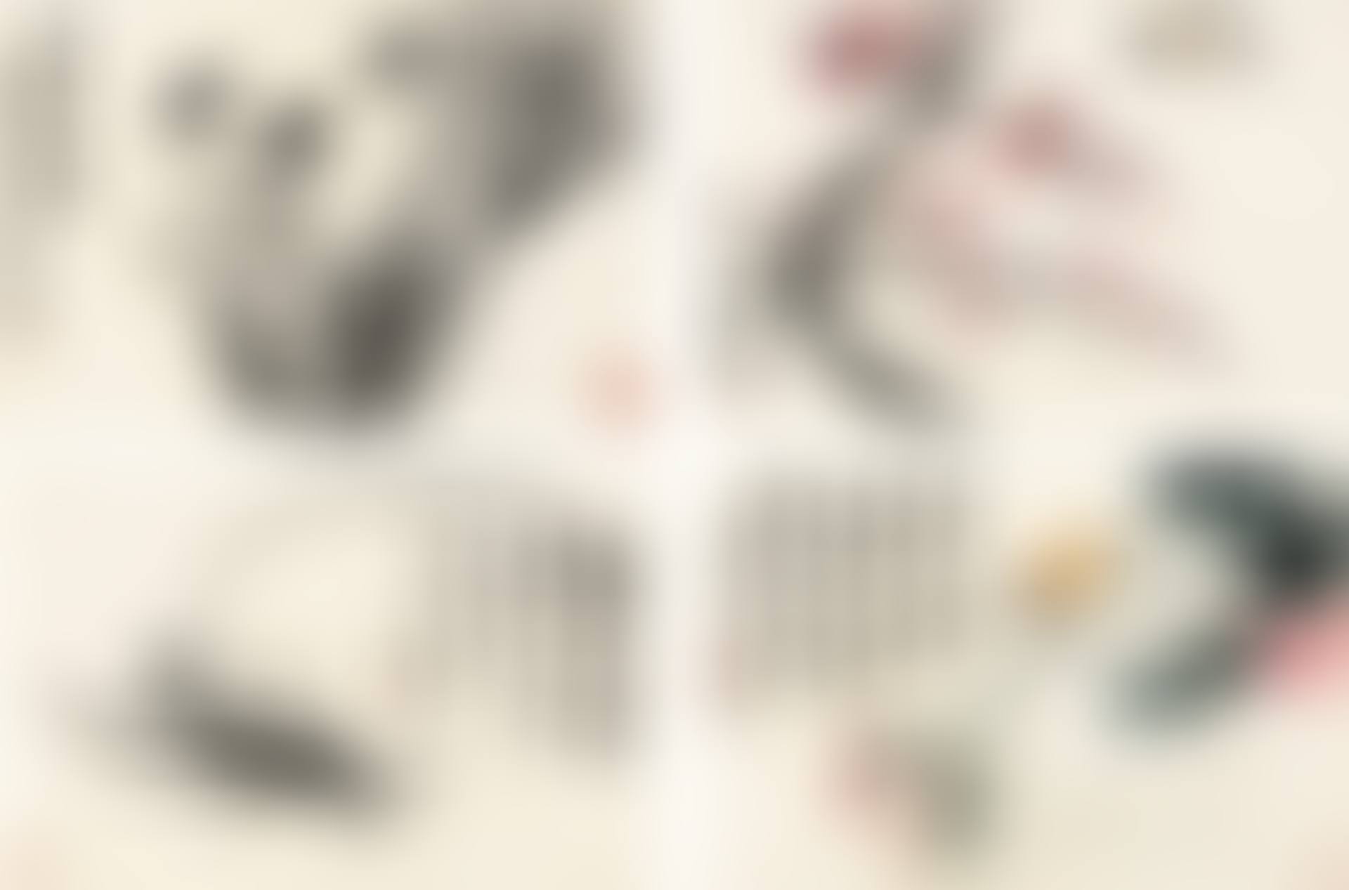 FLOWERS AND BIRDS (preview)
