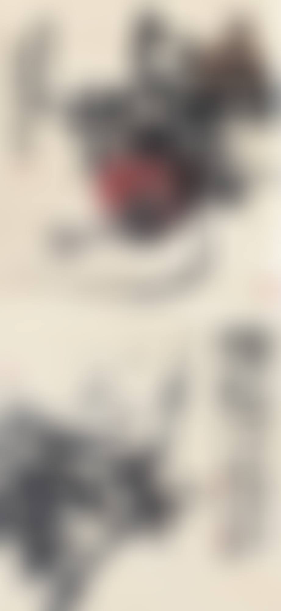 POMEGRANATE AND BAMBOO (preview)