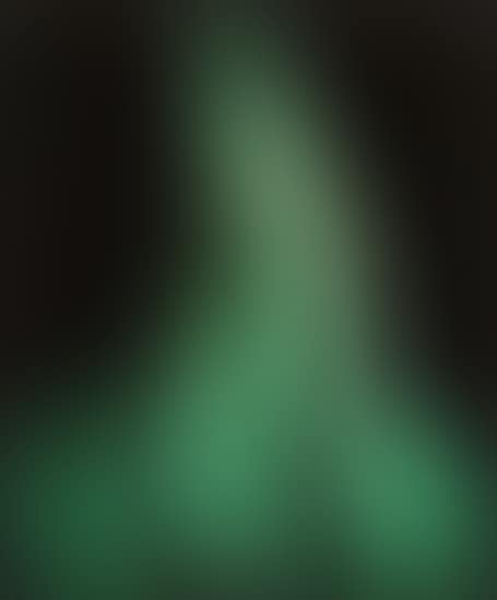 Klansman (Imperial Wizard) (preview)