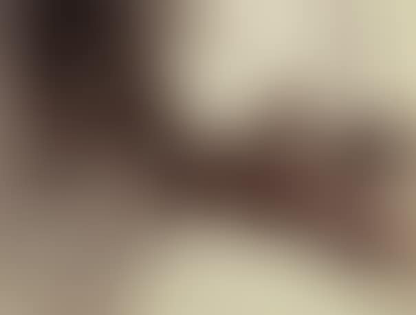Provins, Ramparts (preview)