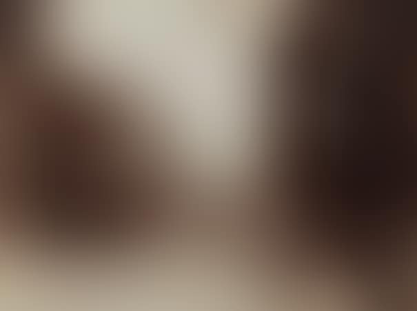 Palais de Justice (preview)