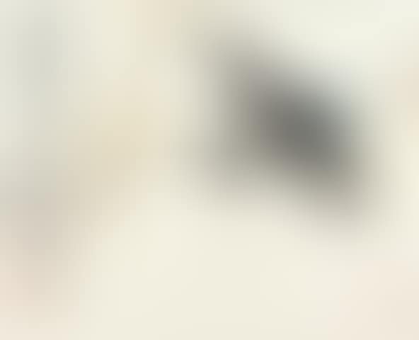 Swallow (preview)