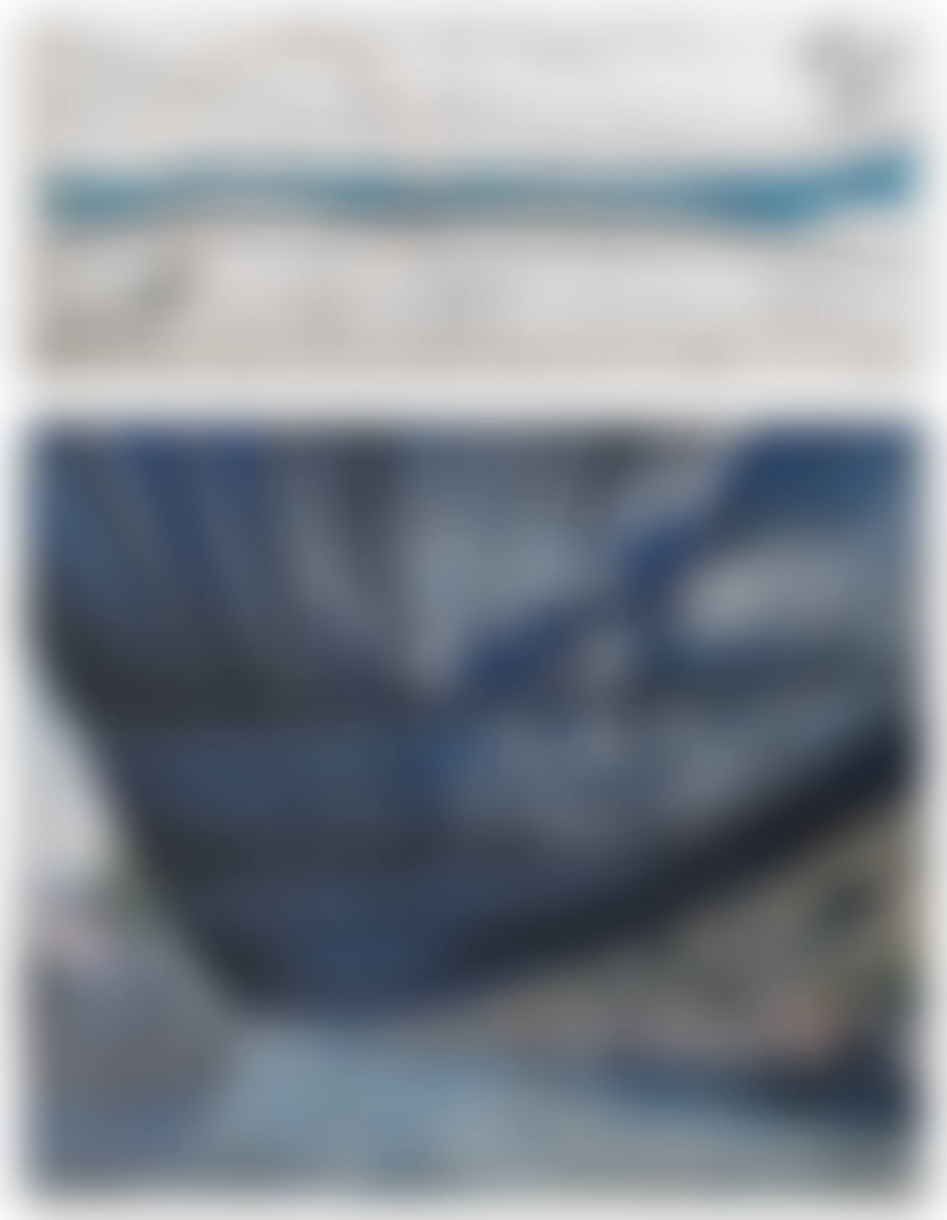 Over the River (Project for Arkansas River, State of Colorado) (preview)