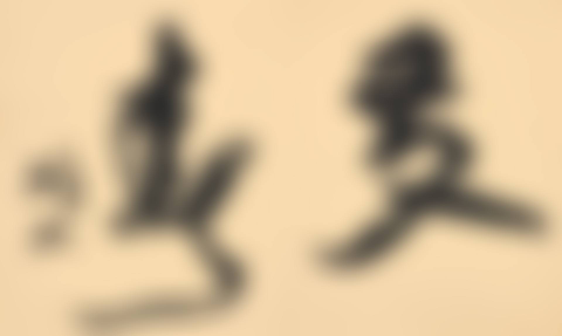 CALLIGRAPHY IN XINGSHU (preview)