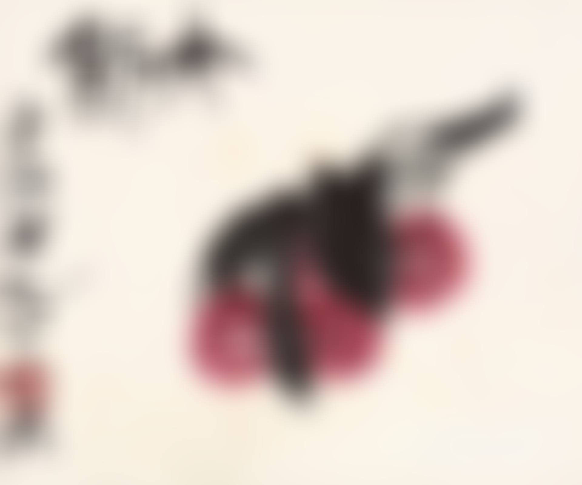 LYCHEES (preview)
