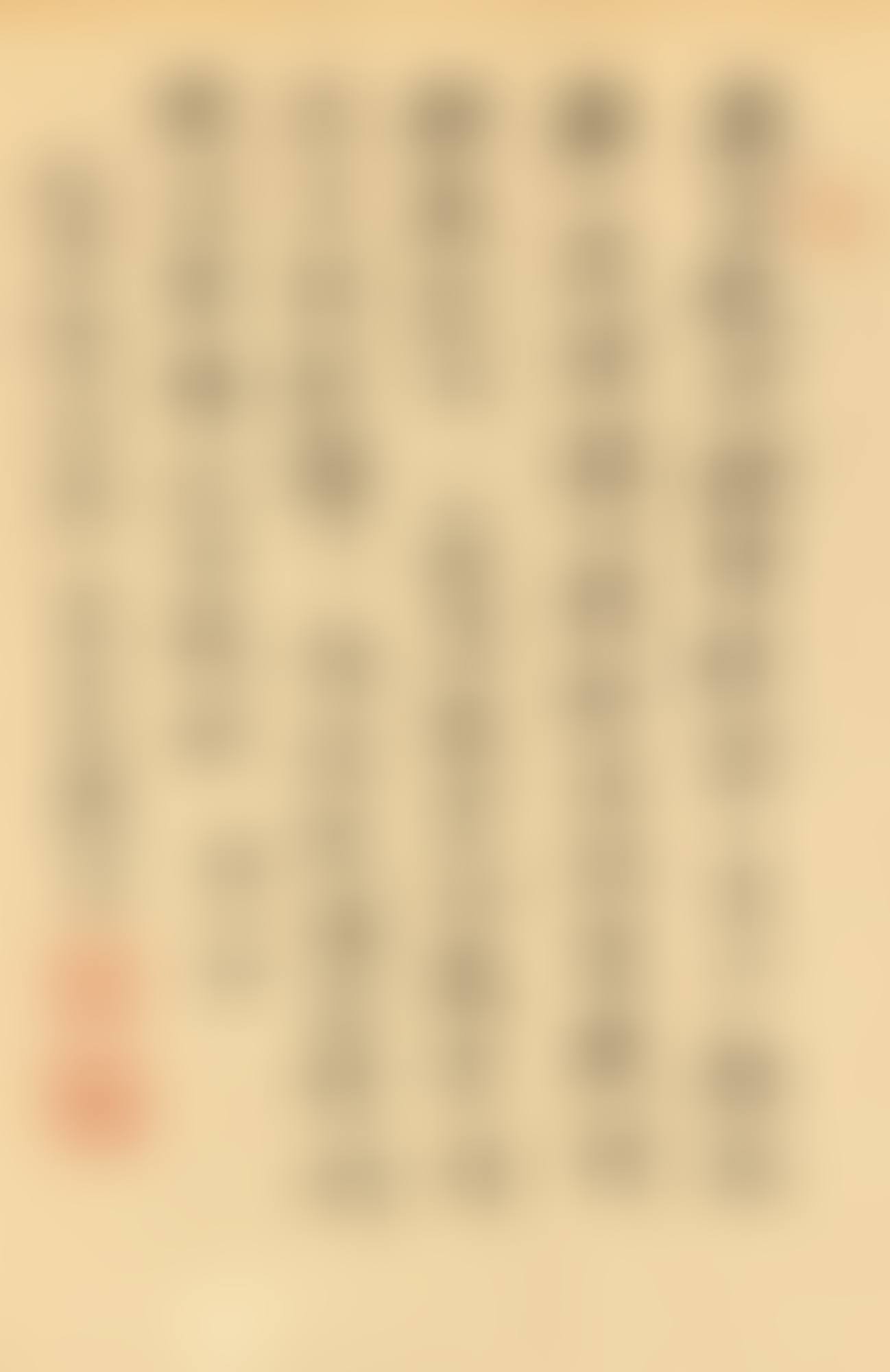 VERSE IN XINGSHU (preview)