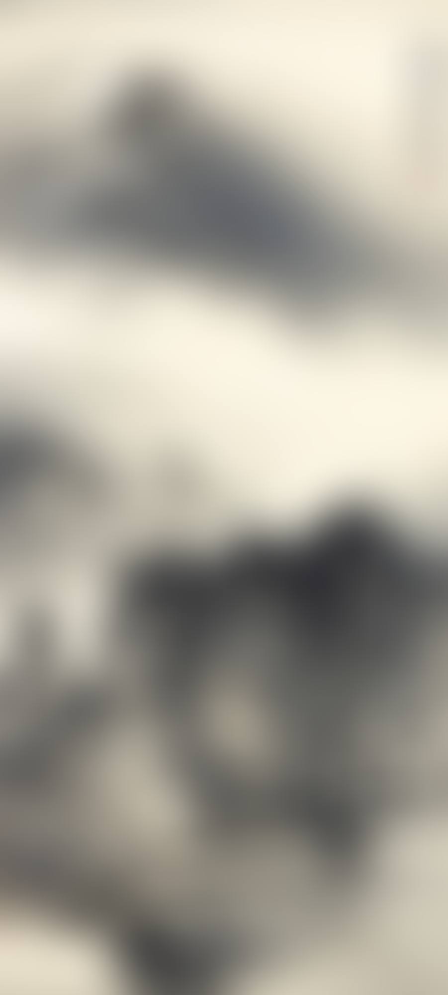 MOUNT FUJI IN THE MIST (preview)