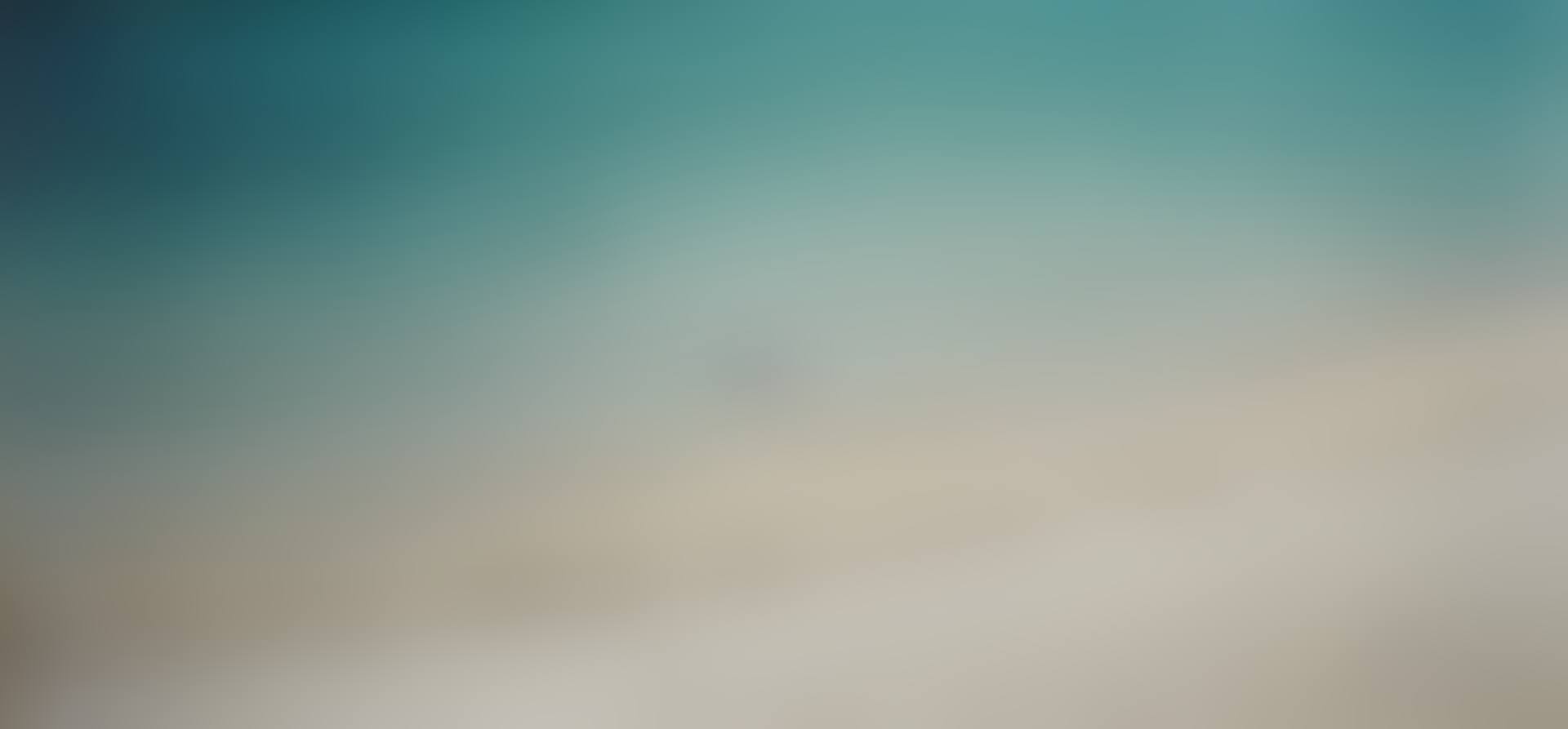 UNTITLED #892-03 (FROM  ON THE BEACH ) (preview)