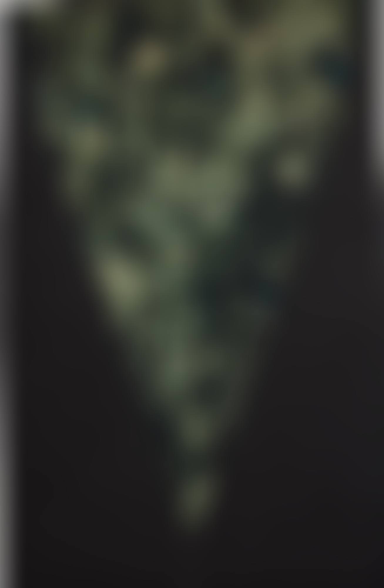 DARK FIRES (preview)