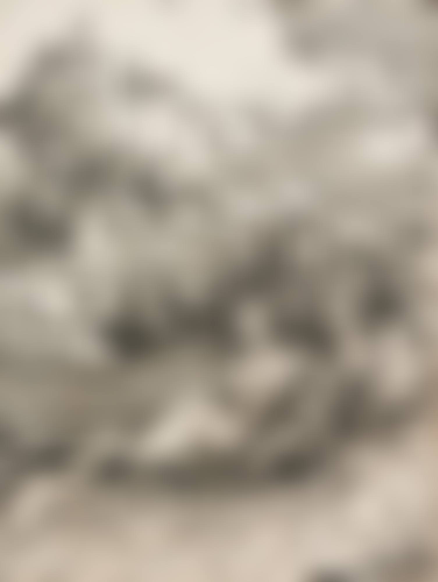 THE SEA MONSTER (B. 71; M., HOLL. 66) (preview)